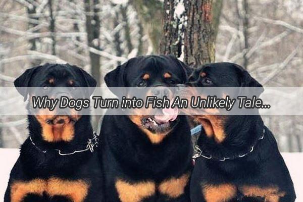 Why Dogs Turn into Fish An Unlikely Tale of Transformation